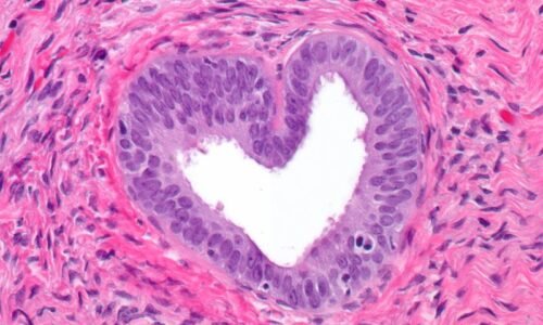 Histology & Cytology