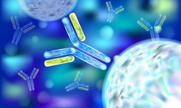Rheumatology & Immunology