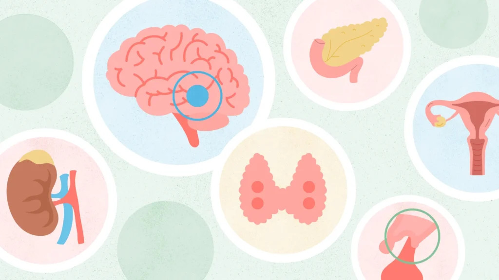 Endocrinology