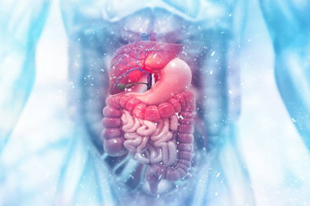 Gastroenterology & Hepatology