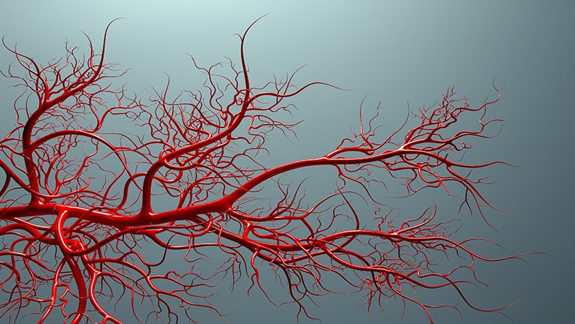 Vascular Surgery
