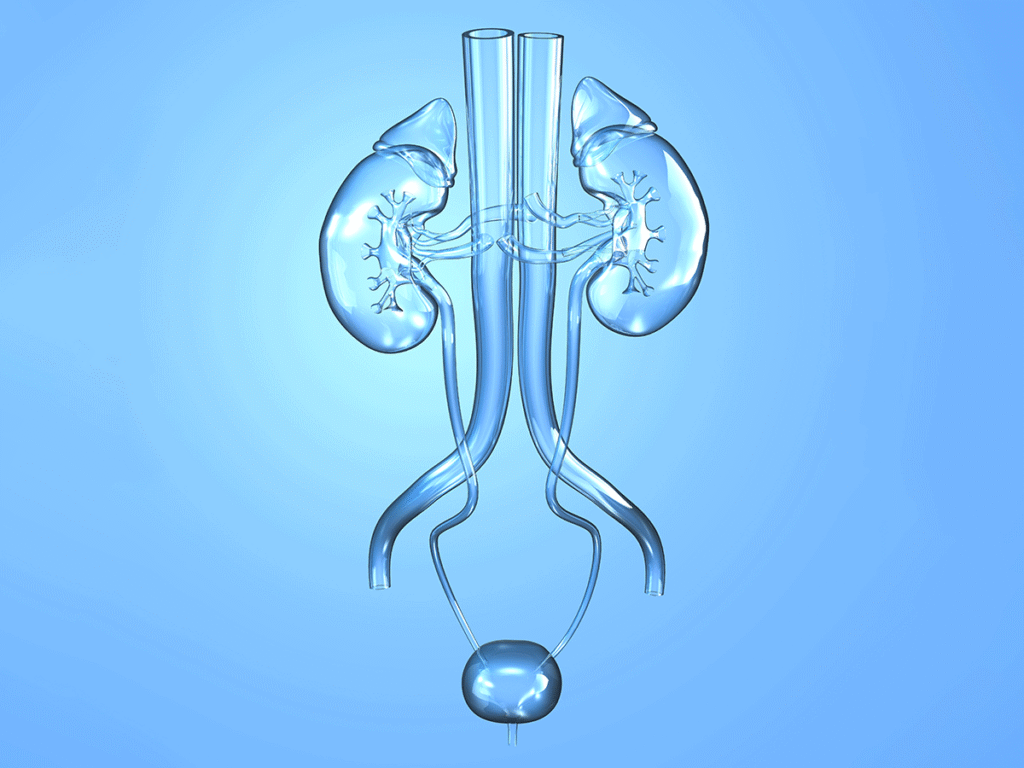 Urology
